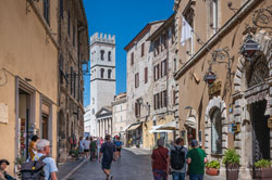 assisi